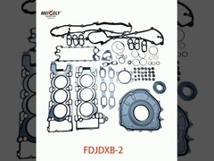 Factory Hot Sale Engine Overhaul Package FDJDXB-2 For WD615 Engine