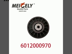 6012000970 9146139 Auto Engine Parts  Belt Tensioner Pulley For Mercedes Benz