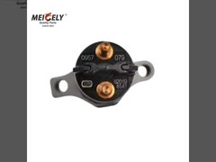 Searching for a Compatible Diesel Injector 0445120079 for Your Iveco Vehicle?