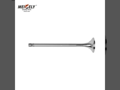 Want a Top-Notch 1328537 Engine Exhaust Valve That Fits Scania Perfectly?