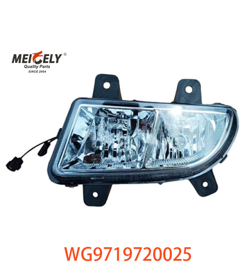 Sinotruk Howo Engine Heavy Duty Truck Grouped Lamps WG9719720025 WG9719720001