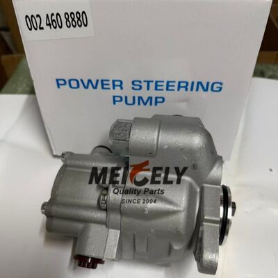 OEM Standard 0024608880 Power Steering Pump Assembly  For Benz Actros Trucks Heavy Duty