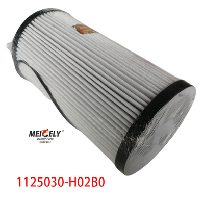 1125030-H02B0 Truck Parts Fuel Filter For Dongfeng Tianlong