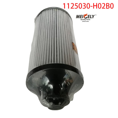 1125030-H02B0 Truck Parts Fuel Filter For Dongfeng Tianlong