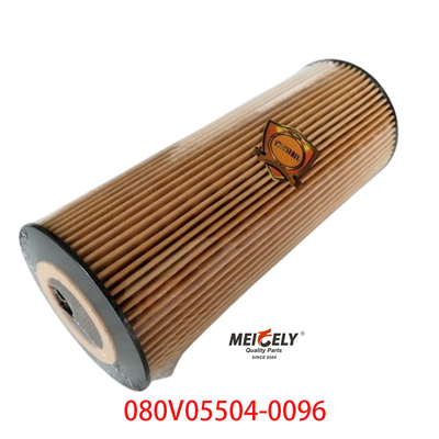 Stock OEM 080V05504-0096 For SINOTRUK Howo T5G Truck Oil Filter