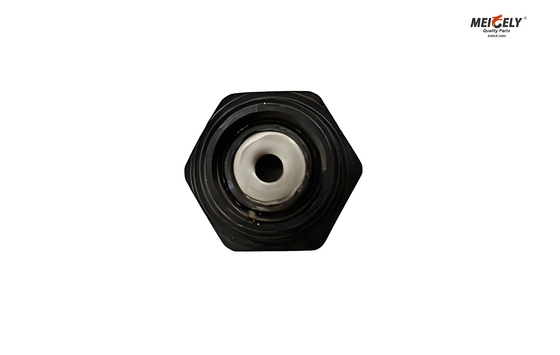 Fuso And Canter ME012586 Bolt Oil Jet Valve For All Models