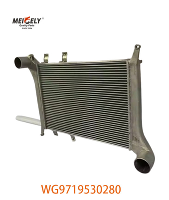 OEM WG9719530280 For Howo Intercooler Assembly WG9719530281