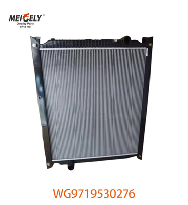 Original WG9719530276 Radiator Assembly WG9725530270 Fit For HOWO Truck