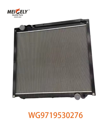 Original WG9719530276 Radiator Assembly WG9725530270 Fit For HOWO Truck