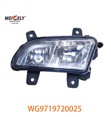 Sinotruk Howo Engine Heavy Duty Truck Grouped Lamps WG9719720025 WG9719720001