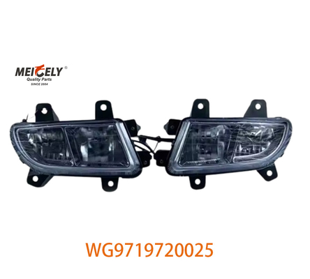 Sinotruk Howo Engine Heavy Duty Truck Grouped Lamps WG9719720025 WG9719720001