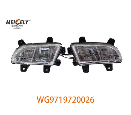 OE Number WG9719720026 Grouped Lamps For Sinotruk HOWO Wg9719720025 Picture Display