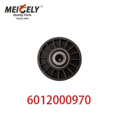 6012000970 9146139 Auto Engine Parts  Belt Tensioner Pulley For Mercedes Benz