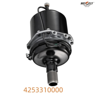 Daf Spring Brake 4253310000 High - Quality Stopping Solution