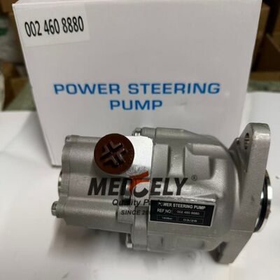 OEM Standard 0024608880 Power Steering Pump Assembly  For Benz Actros Trucks Heavy Duty