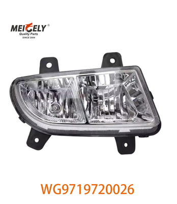 OE Number WG9719720026 Grouped Lamps For Sinotruk HOWO Wg9719720025 Picture Display